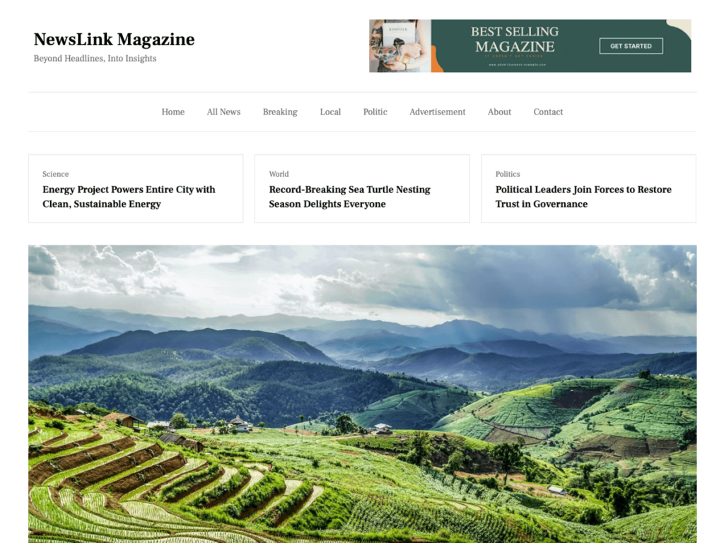 Image of the WordPress theme Newslink Magazine